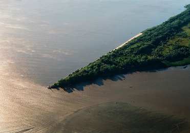 Image 413253145