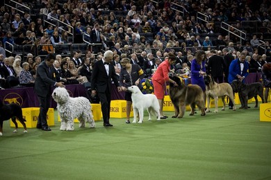Image 413652330