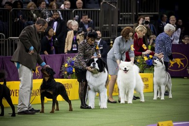 Image 413652389