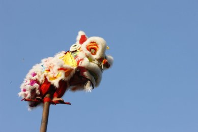 Image 416510717