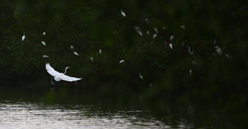 Image 417025931