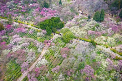 Image 418371734