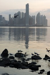 Image 418913602