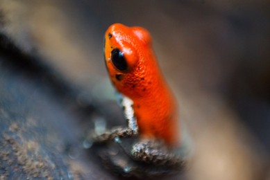 Image 418914182
