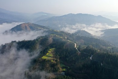 Image 418974744