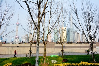 Image 419105140