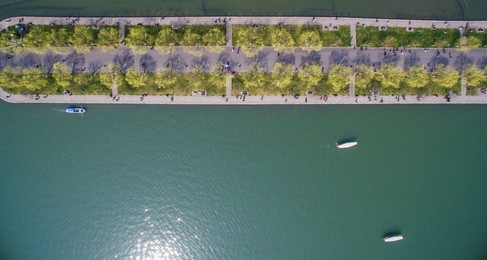Image 419155710