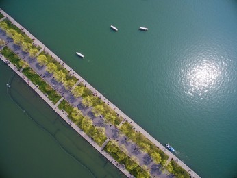 Image 419156064