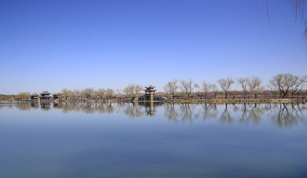 Image 419209691