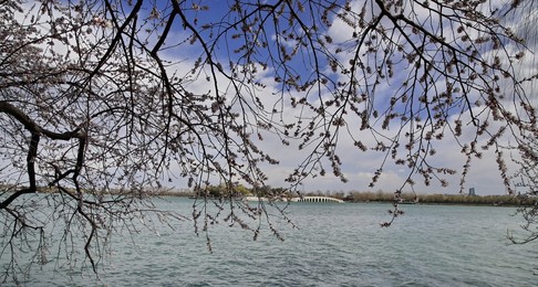 Image 419433823