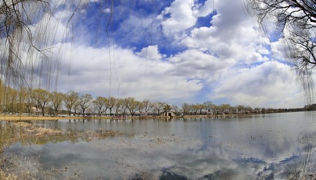 Image 419433839