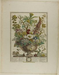 Image 419531118