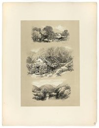 Image 419601798