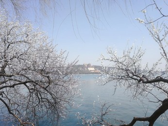 Image 420303398
