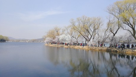 Image 420303422