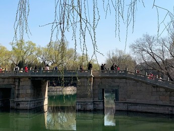 Image 420819106