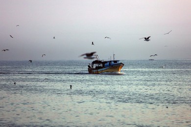 Image 424038594
