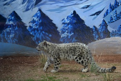Image 425824275