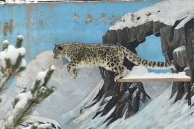 Image 425824276