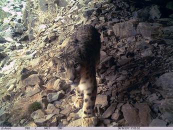 Image 425824288