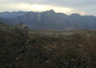 Image 426032955