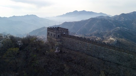 Image 426032975