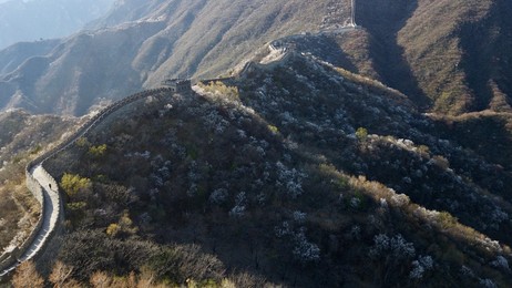 Image 426032978
