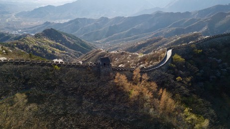 Image 426032981