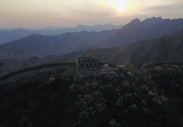 Image 426032994