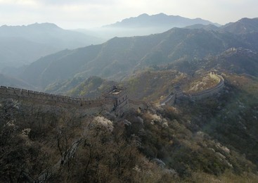Image 426063385