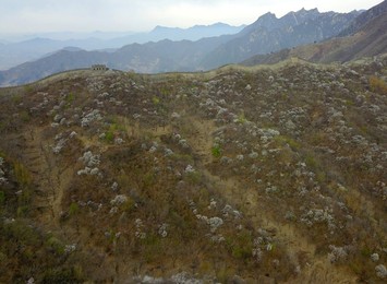 Image 426063464