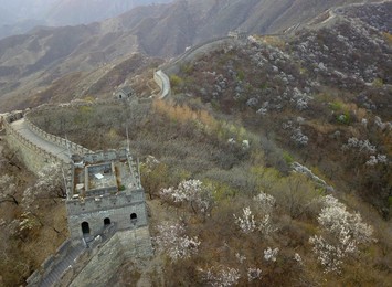 Image 426063478