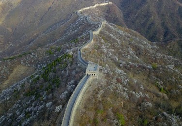Image 426063487