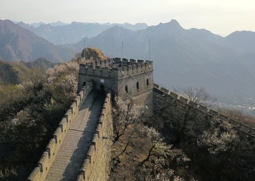 Image 426063501