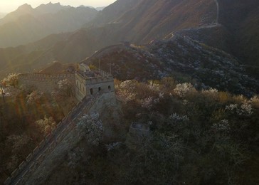 Image 426063512