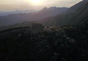 Image 426063513
