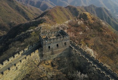 Image 426063515