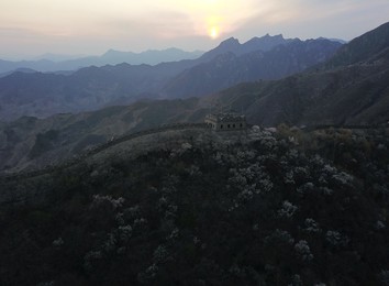 Image 426063524
