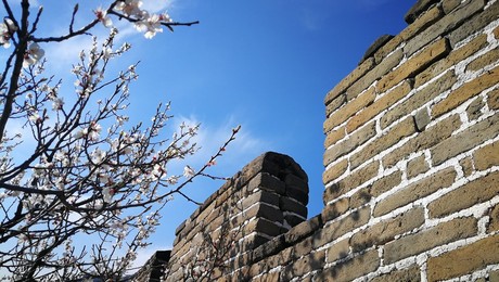 Image 426138158