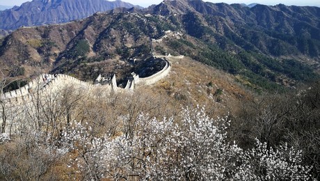 Image 426138161