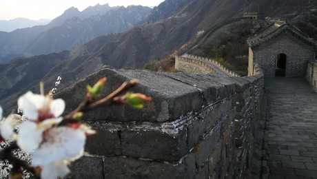 Image 426138164