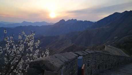 Image 426138167
