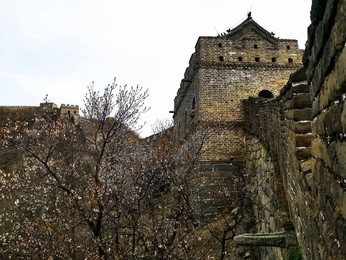 Image 426138174
