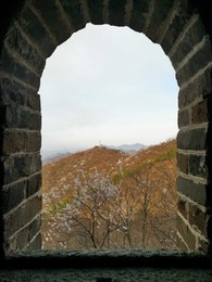 Image 426138182