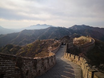 Image 426138404