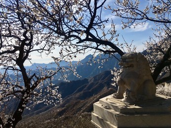 Image 426138410