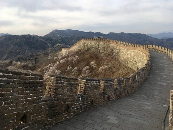Image 426138412