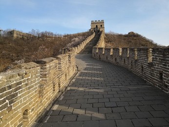 Image 426138418