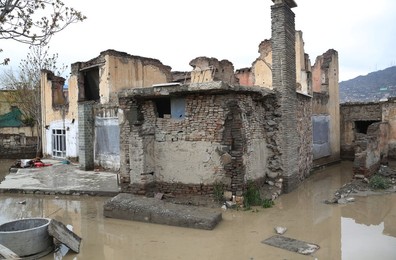 Image 426471879