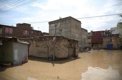 Image 426471882